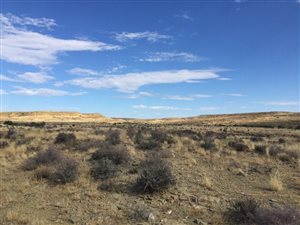 2304 ha Farm in Merweville