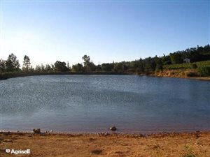 45 ha Farm in Paarl