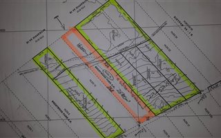 4 ha Farm in Brentwood Park
