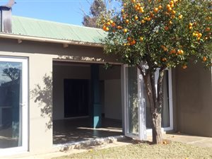 4 Bed House in Aliwal North
