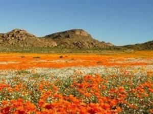 812 m² Land available in Calvinia