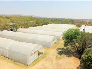 2 ha Farm in Strydfontein and surrounds