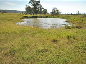 280 ha Farm in Newcastle Central