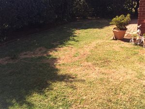2 Bed Simplex in Montrose