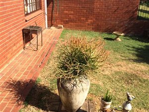 2 Bed Simplex in Montrose