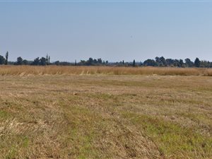 8.6 ha Farm in Mooilande