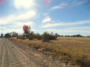42800 m² Commercial space in Bloemspruit