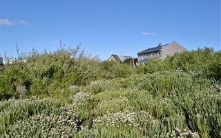 800 m² Land available in Bettys Bay