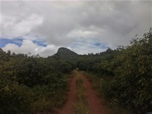 23.6 ha Farm in Makhado (Louis Trichardt)