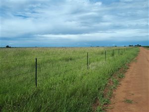 Game Farm in Lichtenburg