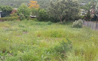 605 m² Land available in Groenvallei