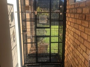 2 Bed House in Victory Park