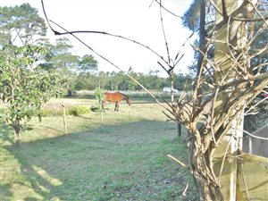 9 ha Farm in Colleen Glen