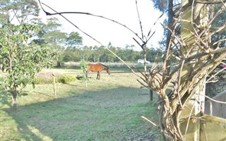 9 ha Farm in Colleen Glen