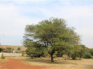 9.2 ha Farm in Hartbeesfontein