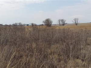1195 m² Land available in Bronkhorstbaai