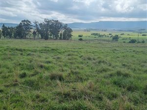 4.1 ha Land available in Hutten Heights