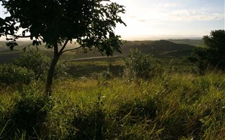 1450 m² Land available in Zimbali Coastal Resort