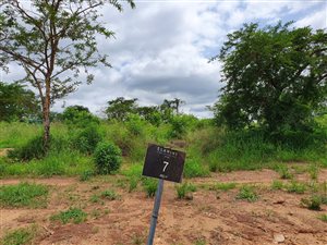 665 m² Land available in Riverside Park