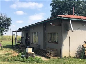 6 ha Farm in Sundra