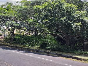 2985 m² Land available in Pumula