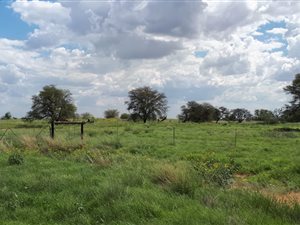 259 ha Farm in Hoopstad