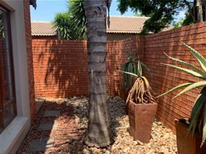 3 Bed Townhouse in Monavoni