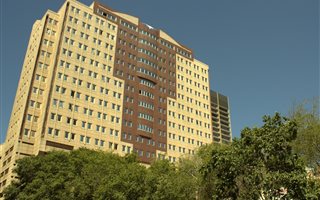 1 Bedroom Apartment in Newtown