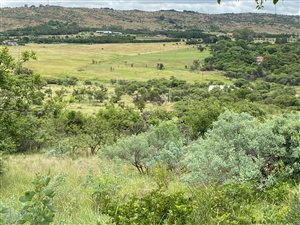 4.2 ha Land available in Tiegerpoort