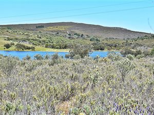 39 ha Farm in Bredasdorp
