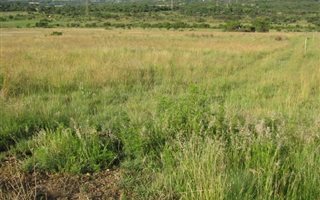 5 ha Farm in Mooiplaats AH
