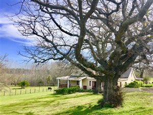 7 ha Farm in Stellenbosch Central