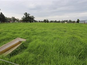 97 ha Farm in Harrismith