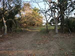 620 m² Land available in Pennington