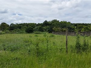 1150 m² Land available in Birdswood