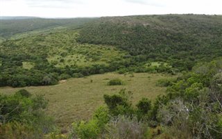 362 ha Farm in Beacon Bay