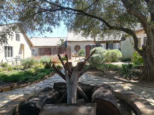 16.2 ha Farm in Lichtenburg
