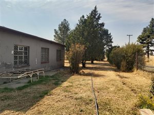 4.3 ha Smallholding in Lakeview
