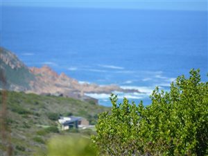 4681 m² Land available in Pezula Private Estate