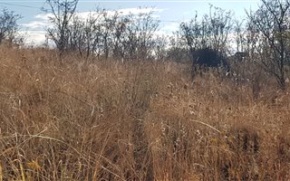 3904 m² Land available in Vaalpark