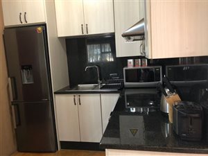 2 Bedroom Apartment in Ferndale