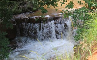 440 ha Farm in Modimolle