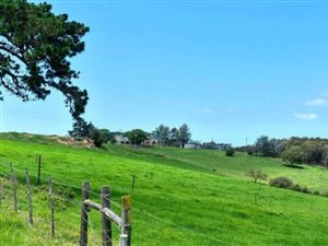 23.7 ha Farm in Glentana