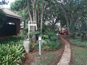 21 ha Farm in Bela-Bela (Warmbaths)