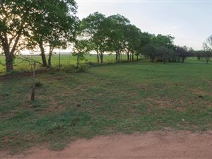 42 ha Farm in Mokopane