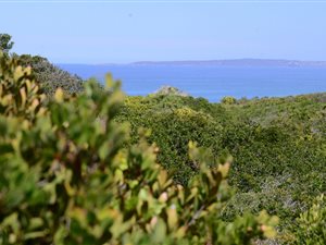 893 m² Land available in Moquini Coastal Estate
