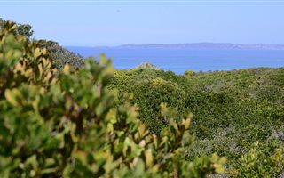 893 m² Land available in Moquini Coastal Estate