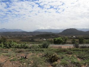 810 m² Land available in Calitzdorp