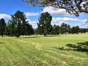 1 ha Land available in Kyalami AH