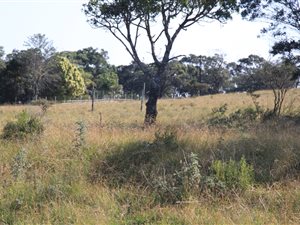 1.7 ha Farm in East London Central